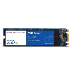 HDSSD M.2 500 GB WD Blue™...