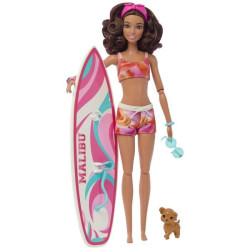 Barbie Surf Puppe & Accy