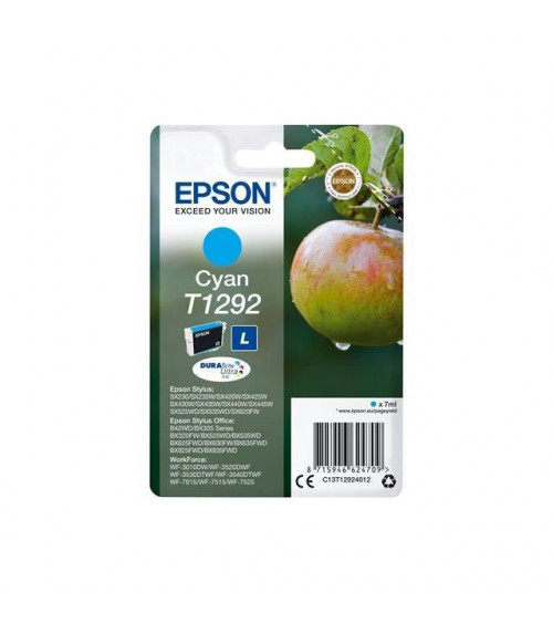 EPSON Cartouche Pomme T1293...